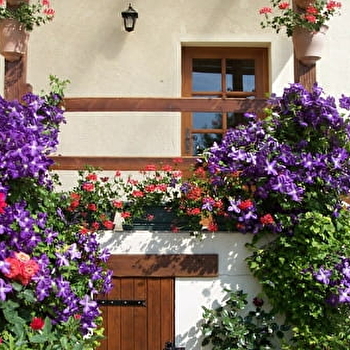 Le Bleuet - Le Clos de la Perdrix - BELLENOT-SOUS-POUILLY